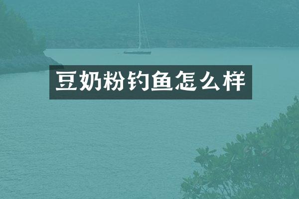 豆奶粉钓鱼怎么样