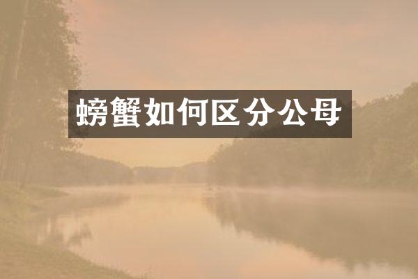 螃蟹如何区分公母