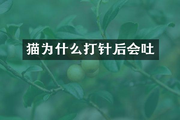 猫为什么打针后会吐