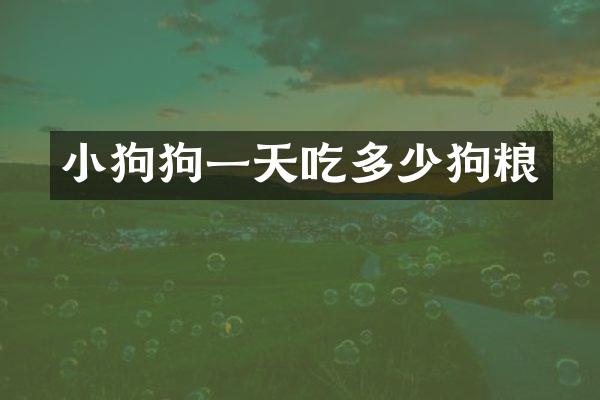 小狗狗一天吃多少狗粮