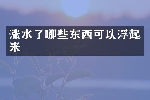 涨水了哪些东西可以浮起来