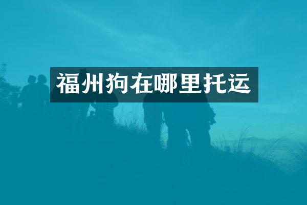 福州狗在哪里托运