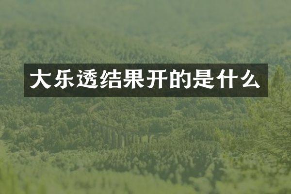 大乐透结果开的是什么