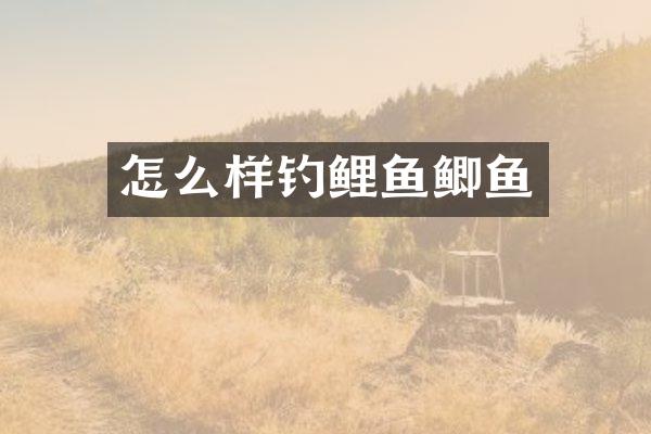 怎么样钓鲤鱼鲫鱼