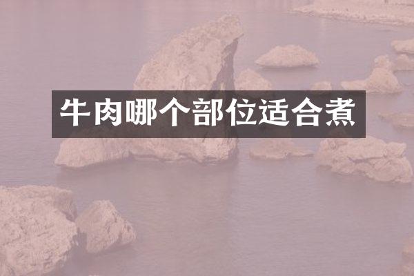 牛肉哪个部位适合煮