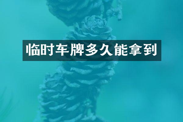 临时车牌多久能拿到