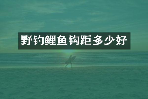 野钓鲤鱼钩距多少好