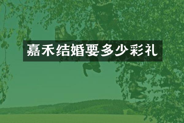 嘉禾结婚要多少彩礼