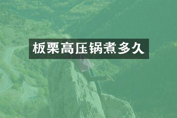 板栗高压锅煮多久