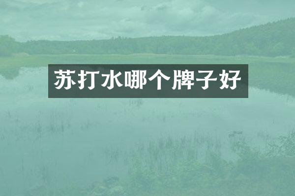 苏打水哪个牌子好