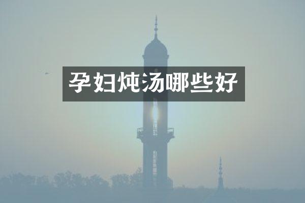 孕妇炖汤哪些好