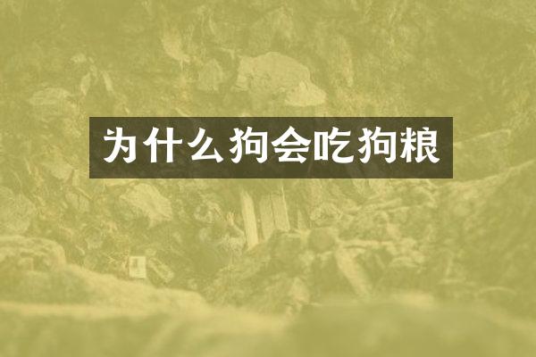 为什么狗会吃狗粮