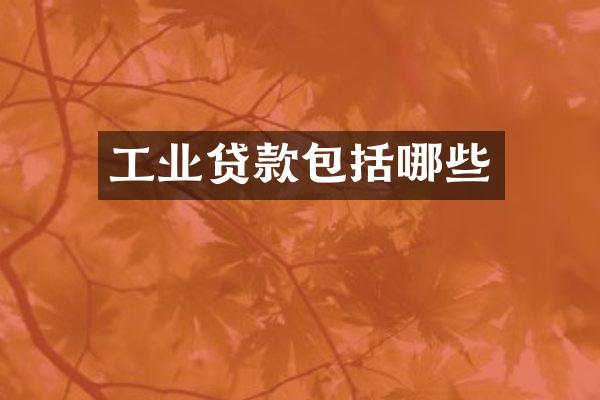 工业贷款包括哪些