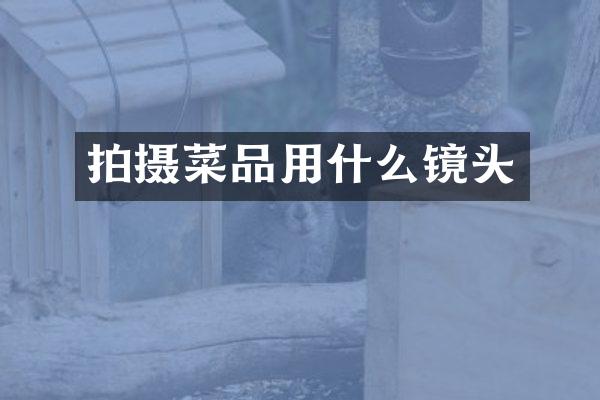 拍摄菜品用什么镜头