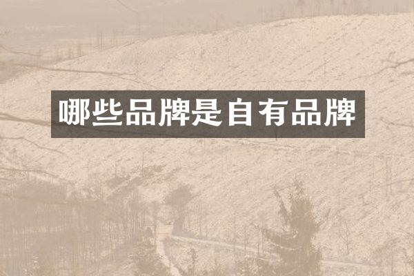 哪些品牌是自有品牌