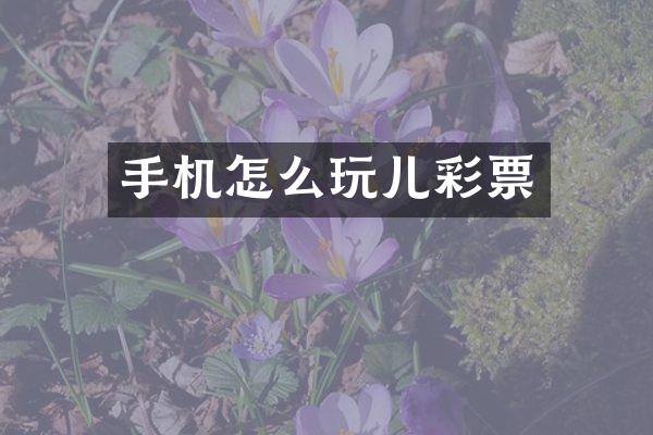 手机怎么玩儿彩票