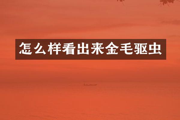 怎么样看出来金毛驱虫