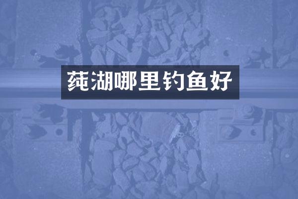 莼湖哪里钓鱼好