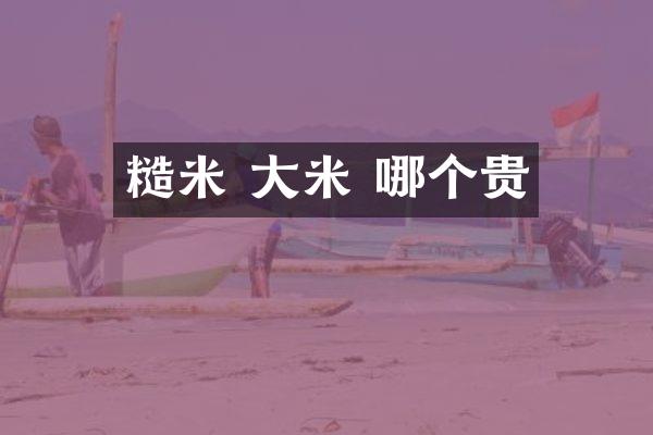 糙米 大米 哪个贵