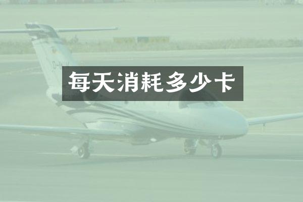 每天消耗多少卡