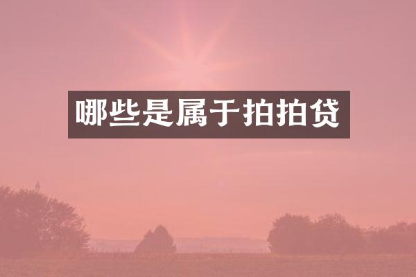 哪些是属于拍拍贷