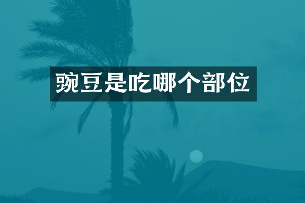 豌豆是吃哪个部位