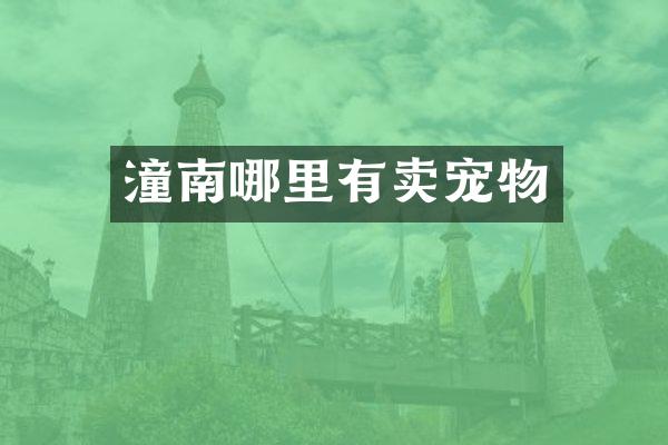 潼南哪里有卖宠物