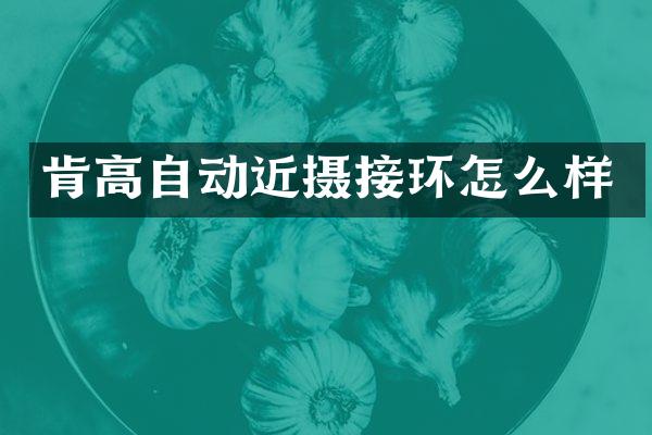 肯高自动近摄接环怎么样