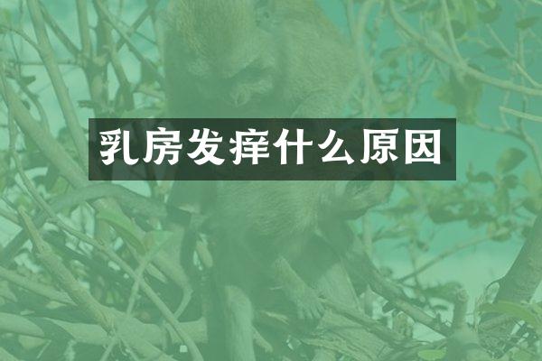 乳房发痒什么原因