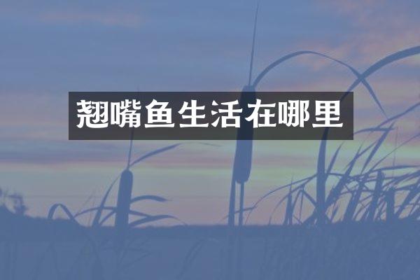 翘嘴鱼生活在哪里