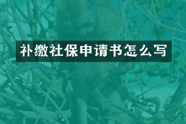 补缴社保申请书怎么写