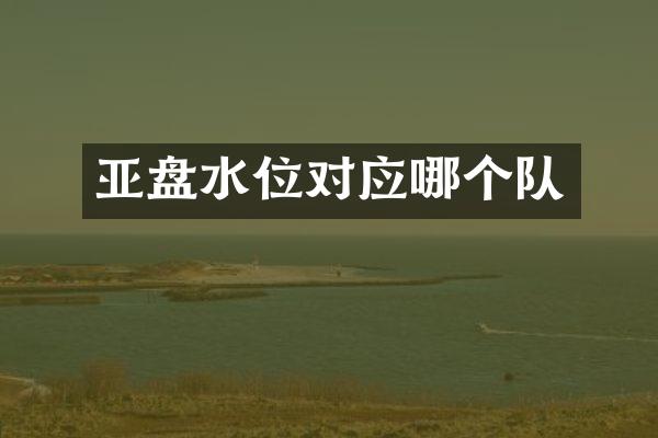 亚盘水位对应哪个队