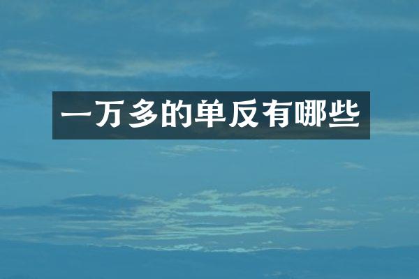 一万多的单反有哪些