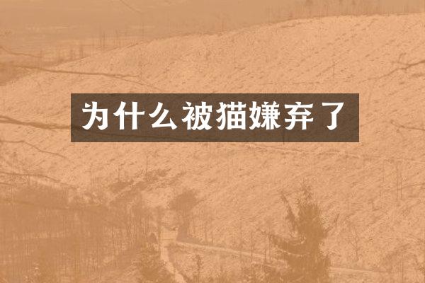 为什么被猫嫌弃了