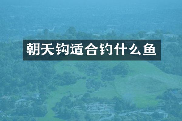 朝天钩适合钓什么鱼