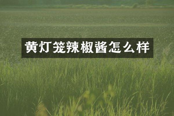 黄灯笼辣椒酱怎么样