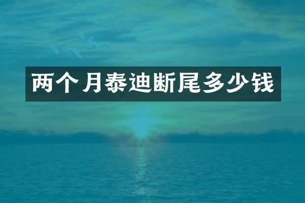 两个月泰迪断尾多少钱