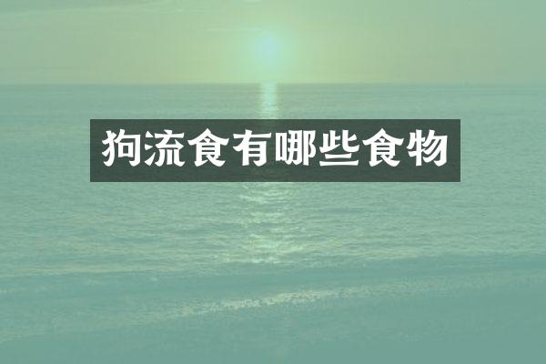 狗流食有哪些食物