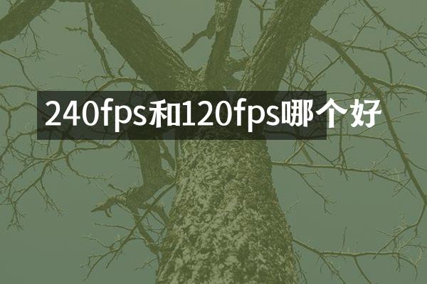 240fps和120fps哪个好