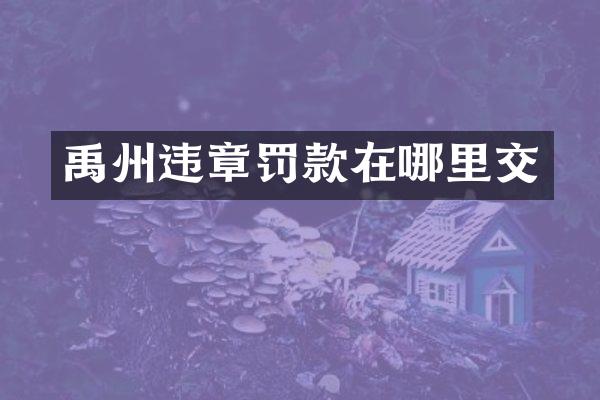 禹州违章罚款在哪里交