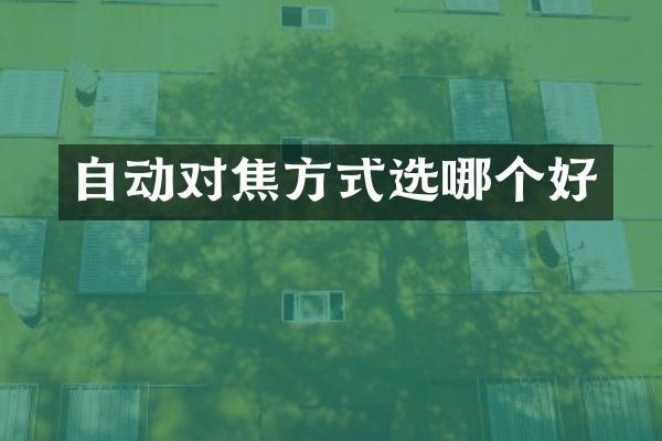 自动对焦方式选哪个好