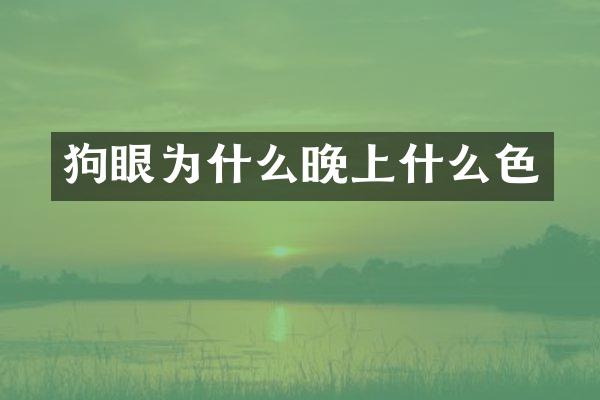 狗眼为什么晚上什么色