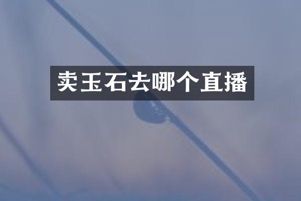 卖玉石去哪个直播