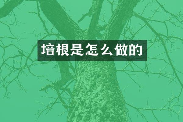 培根是怎么做的