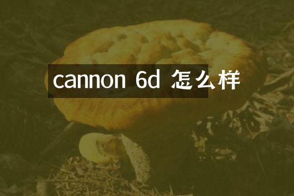 cannon 6d 怎么样