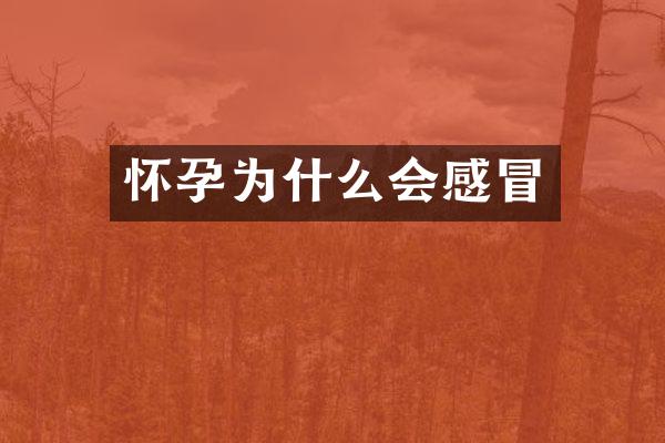 怀孕为什么会感冒