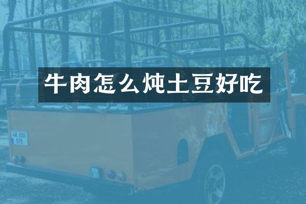 牛肉怎么炖土豆好吃