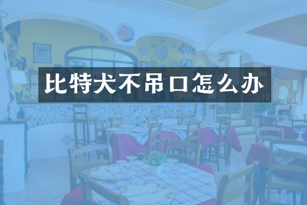 比特犬不吊口怎么办