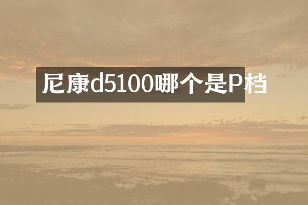 尼康d5100哪个是P档