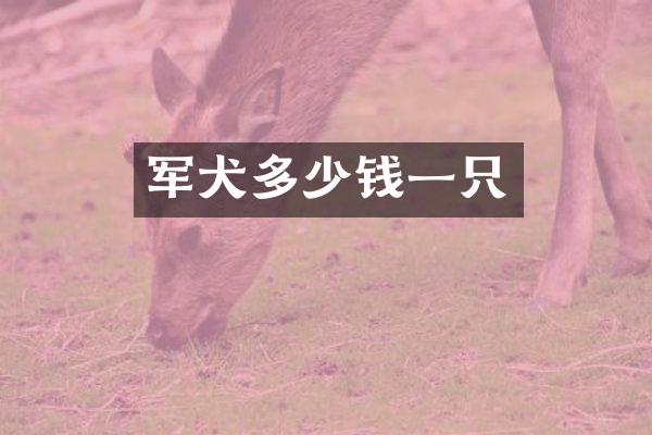 军犬多少钱一只